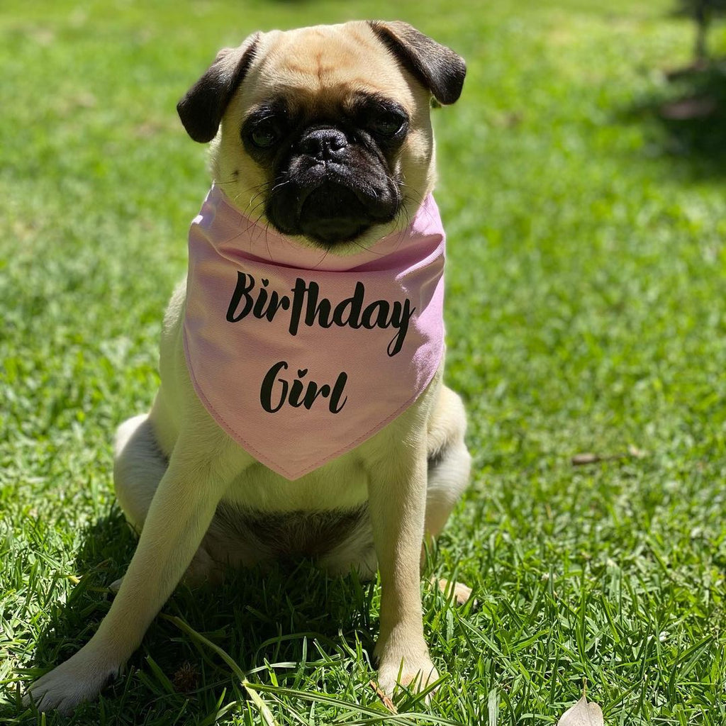 That Dog Shop - @that_pugcookie Birthday Girl Dog Bandana 