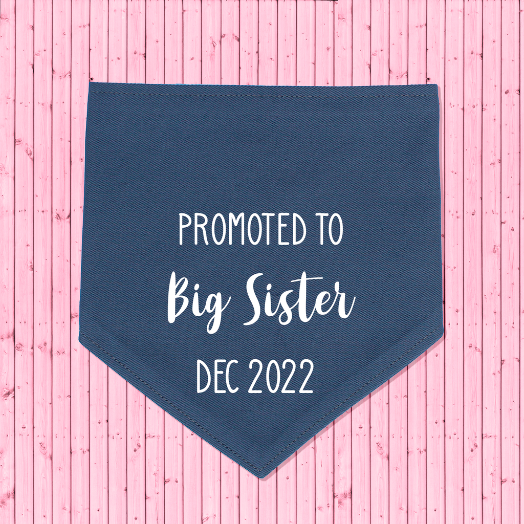 Pregnancy Announcement Dog Bandana Promoted to Big Brother/Big Sister - Grey