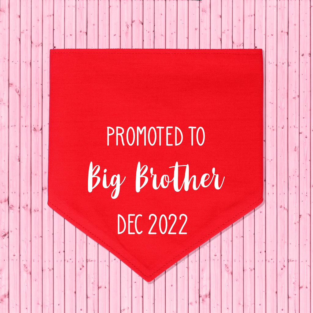 Pregnancy Announcement Dog Bandana Promoted to Big Brother/Big Sister - Red
