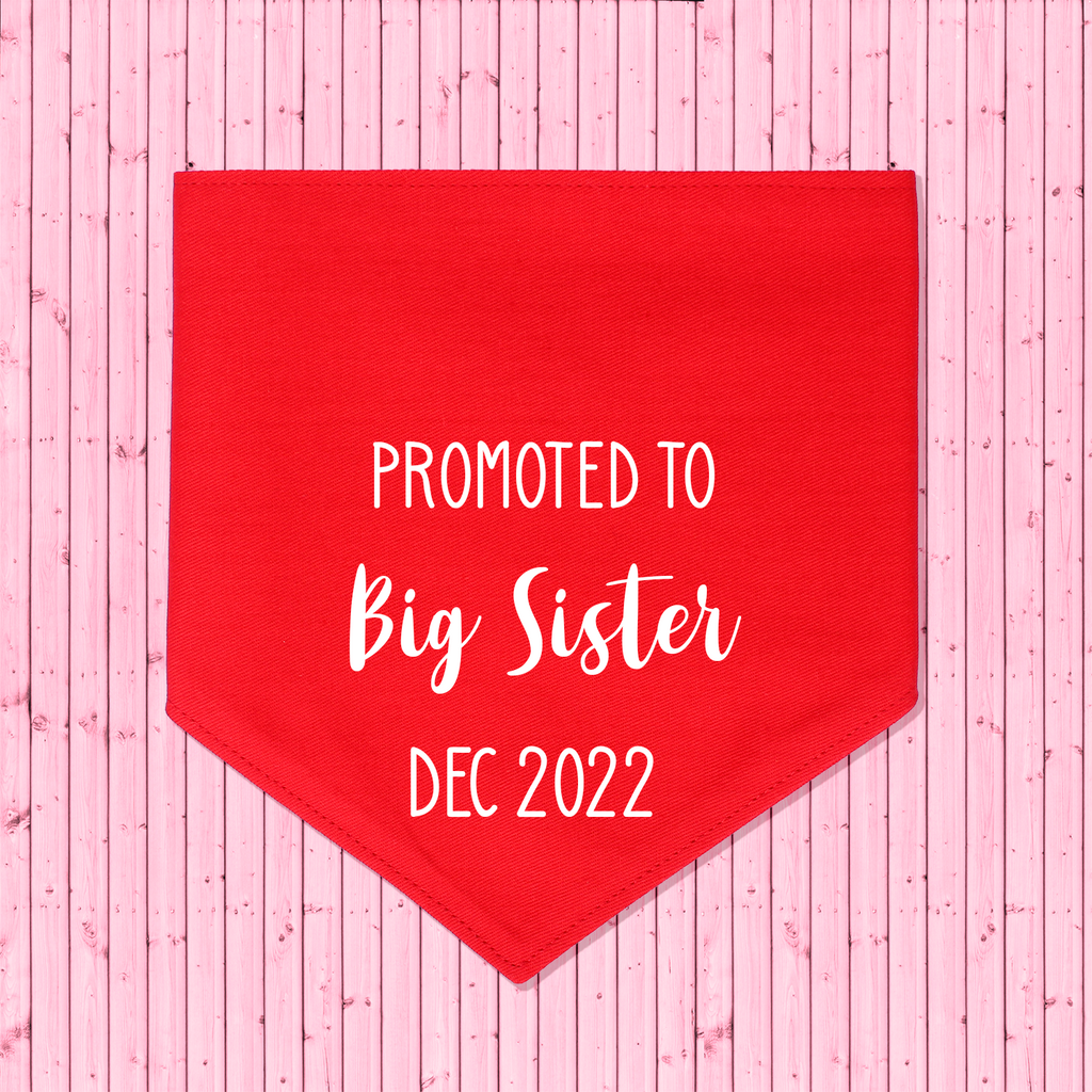 Pregnancy Announcement Dog Bandana Promoted to Big Brother/Big Sister - Red