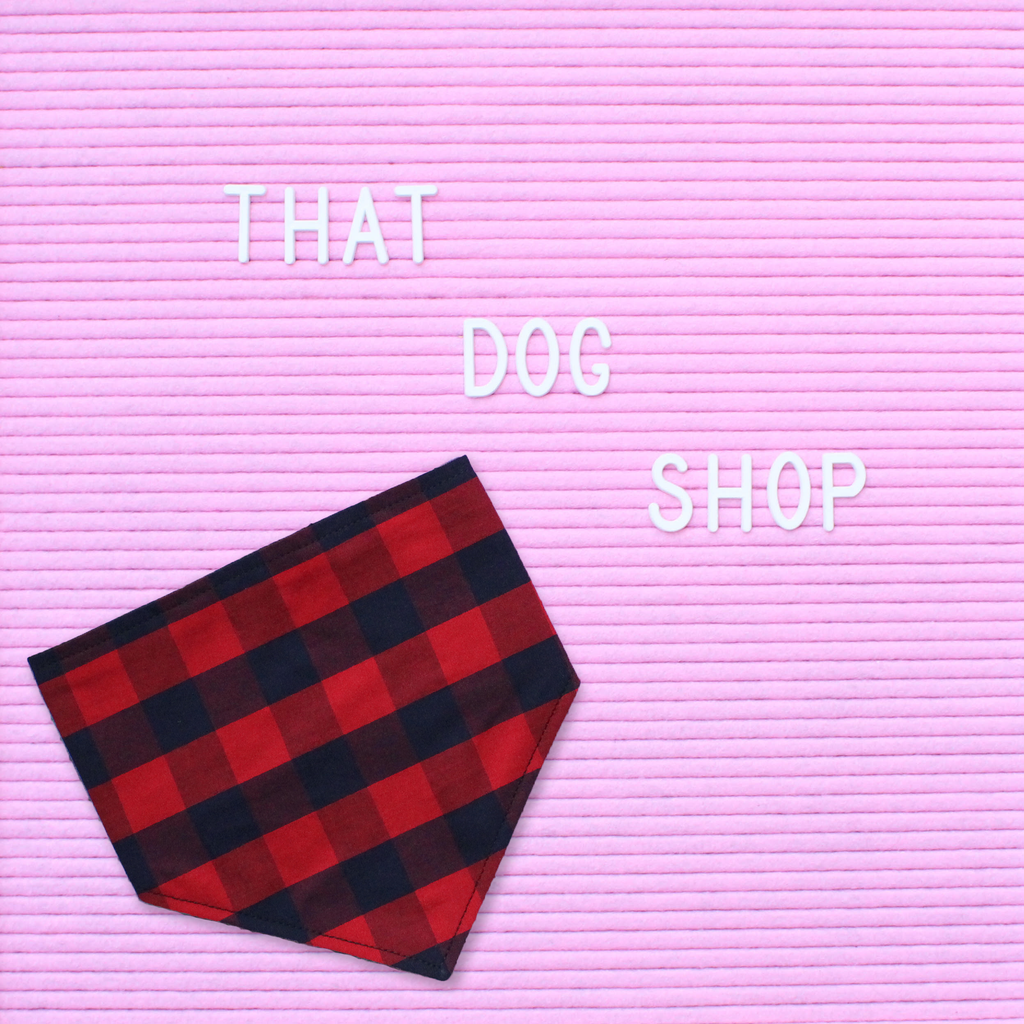 Dog Bandana - Red/Navy Check