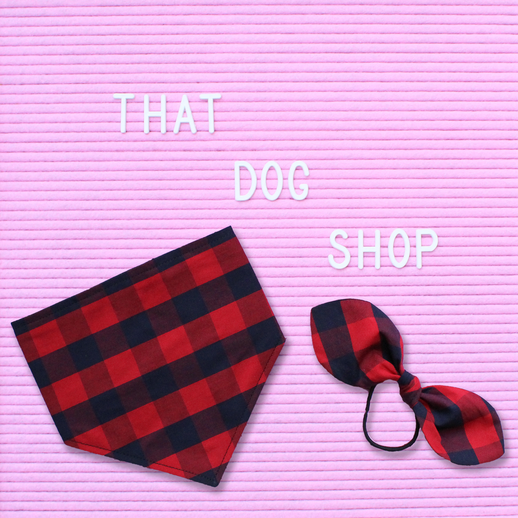 My Dog & Me Bow & Bandana Set - Red/Navy Check