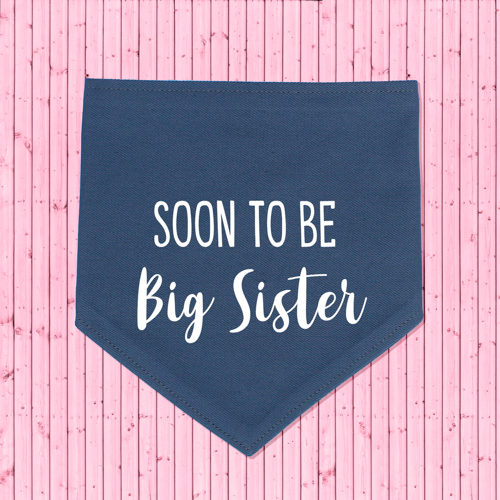 Pregnancy Announcement Dog Bandana Soon to Be Big Brother/Big Sister - Grey