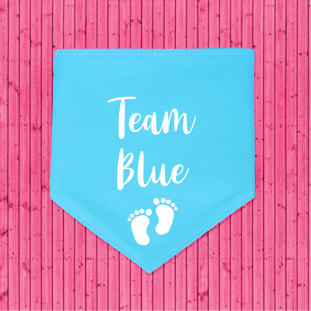 Gender Reveal Announcement Dog Bandana Team Blue - Blue